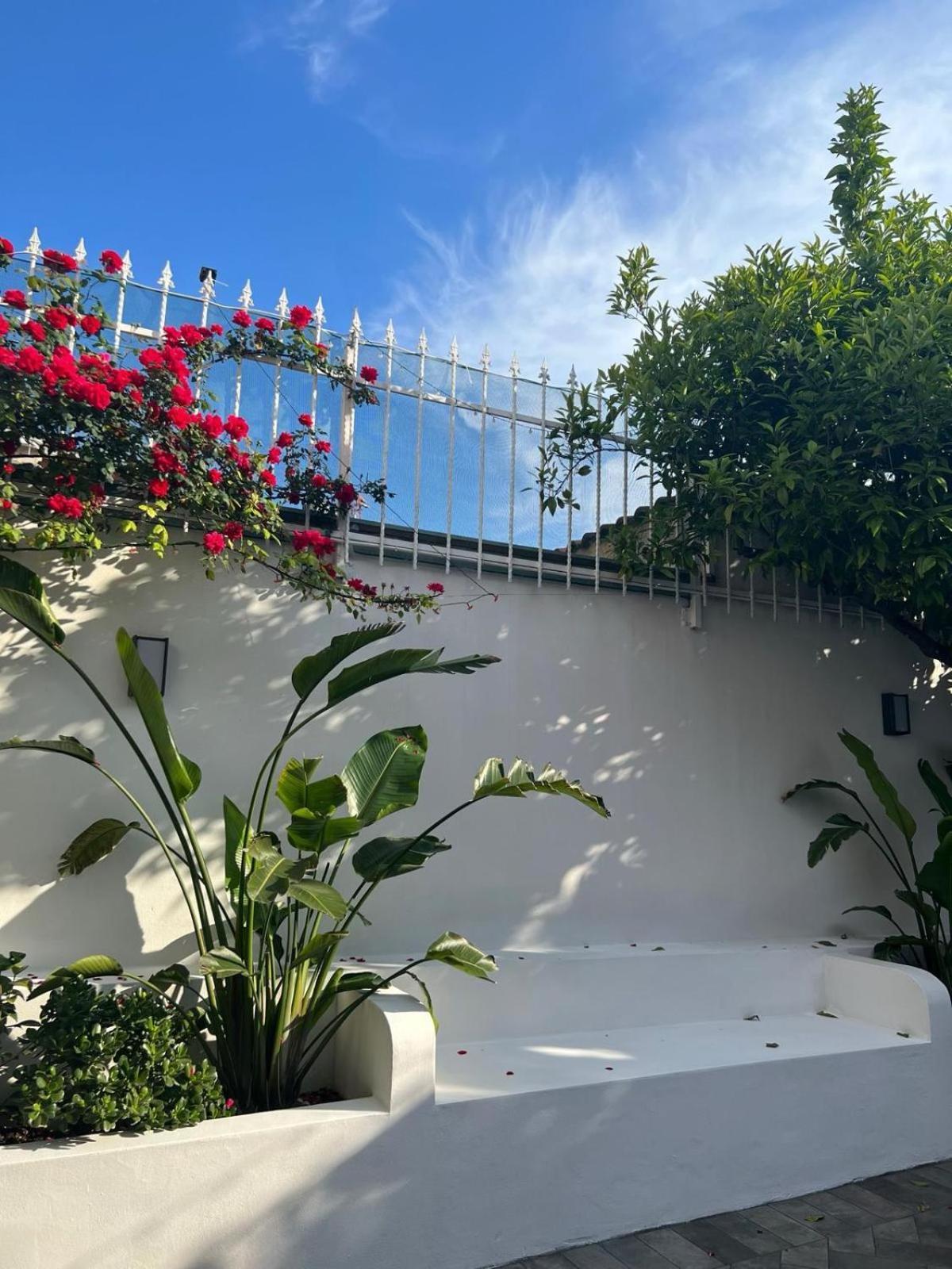 Toci Apartamento